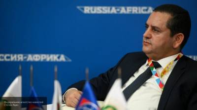Министр Хувейдж: иностранные наемники угрожают Ливии и Европе