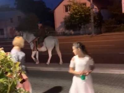 По Украине третий месяц путешествует «принц» на белом коне