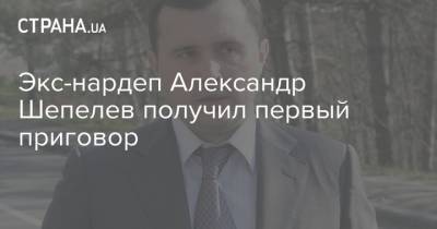 Экс-нардеп Александр Шепелев получил первый приговор