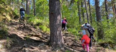 Жителей Карелии бесплатно обучат скандинавской ходьбе