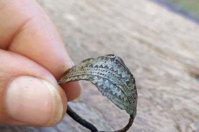 Серебряный перстень эпохи викингов раскопали псковские археологи