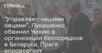 "Управляют нашими овцами". Лукашенко обвинил Чехию в организации беспорядков в Беларуси, Прага опровергает