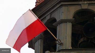 Подозреваемый в осквернении памятника Рокоссовскому задержан в Польше