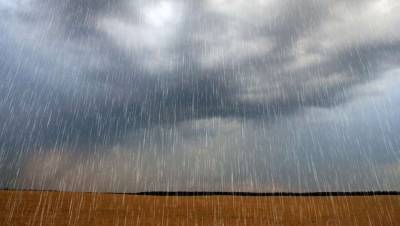 Прогноз погоды на 11 августа: почти на всей территории Казахстана ожидаются дожди с грозами