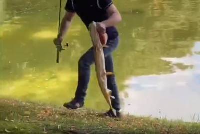 Рыбак поймал крупную щуку на Патриарших прудах в Москве