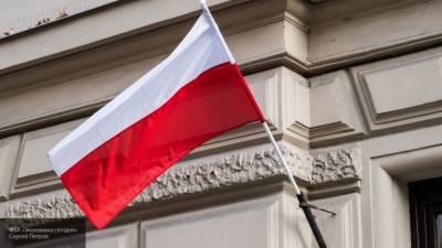 Возможного осквернителя памятника Рокоссовскому задержали в Польше