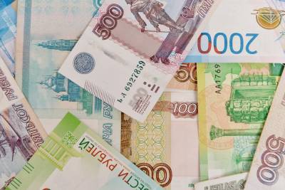 Долю оклада в зарплатах бюджетников предложили увеличить в России