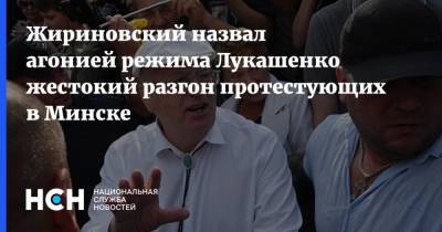 Жириновский назвал агонией режима Лукашенко жестокий разгон протестующих в Минске