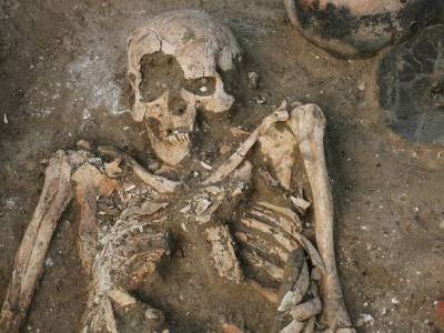 В одном из дворов Ярославля нашли скелет