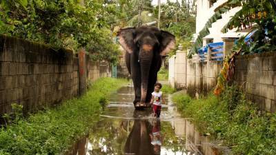 Двухлетняя девочка в Индии дружит со слонихой.