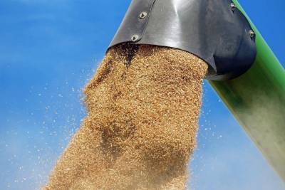 В Татарстане в зернотоке мужчину насмерть завалило зерном