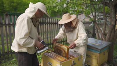 В Башкирии показали, как проверяют мед перед отправкой за рубеж