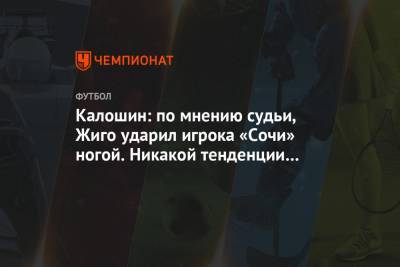 Калошин: по мнению судьи, Жиго ударил игрока «Сочи» ногой. Никакой тенденции нет и близко