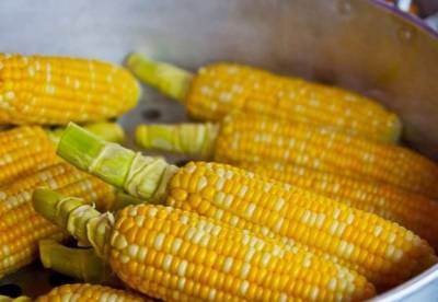 Медики назвали полезные свойства кукурузы для здоровья