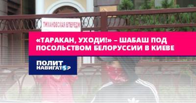 «Таракан, уходи!» – шабаш под посольством Белоруссии в Киеве