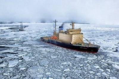 Внеплановую проверку резидентов Арктики предложили сократить до 5 дней
