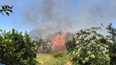 30 пожаров на юге Израиля: почему ХАМАС возобновил огненный террор