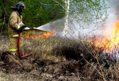 За сутки в России потушили 62 лесных пожара