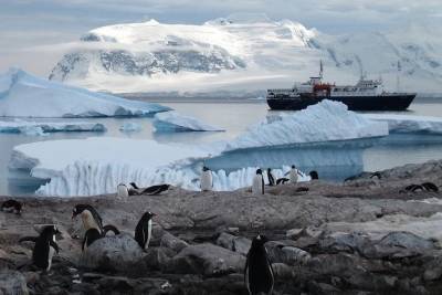 Ученые: Антарктида лишится ледового покрова к 2035 году