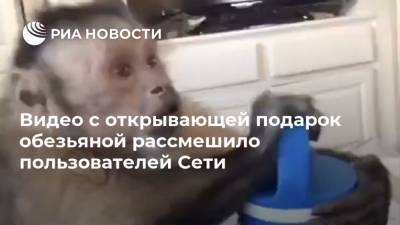 Видео с открывающей подарок обезьяной рассмешило пользователей Сети