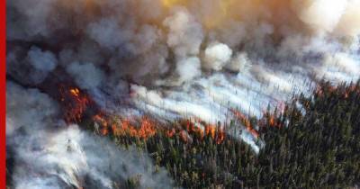 Дым от пожаров в Якутии дошел до Братска