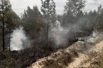 В России ликвидировано 49 лесных пожаров за сутки