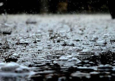 Дожди в Рязанской области продлятся до конца суток