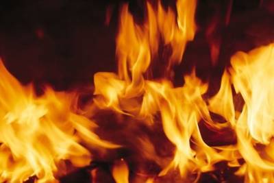 Пожарные эвакуировали 15 человек и спасли 8 из горящего дома в Чите