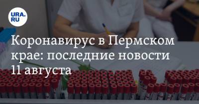 Коронавирус в Пермском крае: последние новости 11 августа. Тесты на антитела делают 8 лабораторий