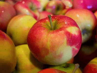 Ученые заявили, что яблочная кожура содержит лекарство от рассеянного склероза
