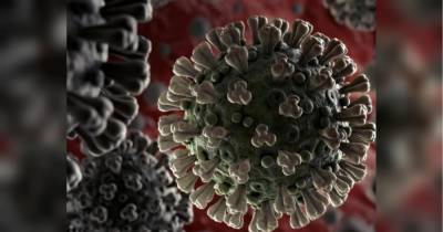 Борьба с коронавирусом: глава ВОЗ призвал мир брать пример с Новой Зеландии