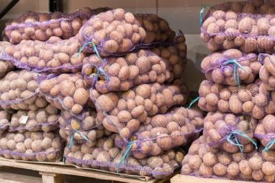 Цены на овощи продолжают снижаться в Хабаровском крае