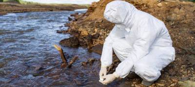 Кишечная палочка и фекалии обнаружены в заливе Ладожского озера в Карелии
