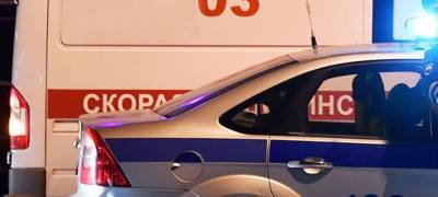 Водитель микроавтобуса погиб на трассе в Карелии