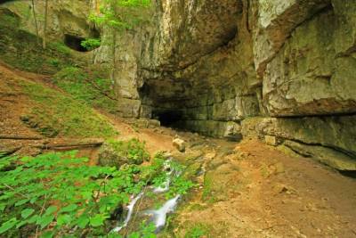 Пещеры ледникового периода в Швабских Альбах — культурное наследие ЮНЕСКО