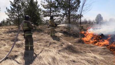 Ульяновские спасатели 4 раза выезжали на тушение сухой травы