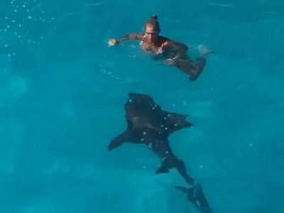 На Багамах на девушку «налетела» акула-медсестра