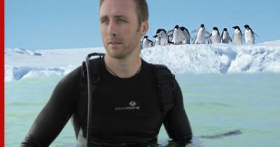 Пингвинам в Антарктиде предсказали скорое исчезновение