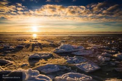 Ученые назвали возможные сроки таяния арктических льдов