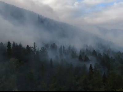 Пожары охватили почти 75 тыс. га российских лесов