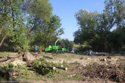 В Рязани начали расчищать берег пруда в Соколовке
