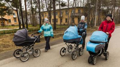 Налог на имущество для многодетных семей в России хотят снизить