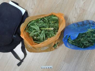 Парня с двумя пакетами марихуаны задержали в Липецкой области