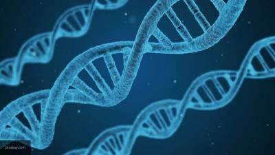 Ученые обнаружили в геноме человека ДНК ранее неизвестного предка