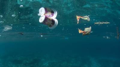 Внук Кусто рассказал о рыбе с пластиком и самом большом мусорном острове