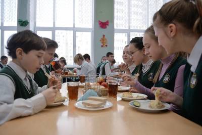 Четверть российских школ не решили вопрос с горячим питанием