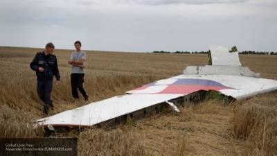 Антипов доказал несостоятельность версии Нидерландов по крушению MH17