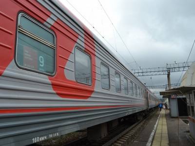 В Ашинском районе с поезда «Самара-Владивосток» сняли пассажира, ранившего полицейского