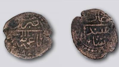 На Кубани впервые найдена монета последнего крымского хана