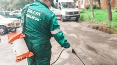 За неделю с улиц Петербурга вывезли более 400 кг опасных отходов